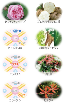 センチフォリアローズ・プエラリアミリフィカ根・ヒアルロン酸・植物性プラセンタ・エラスチン・海藻・コラーゲン・ヒオウギ