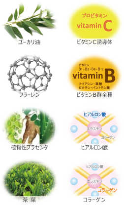ユーカリ油・ビタミンC誘導体・フラーレン・ビタミンB群全種・植物性プラセンタ・ヒアルロン酸・茶葉・コラーゲン